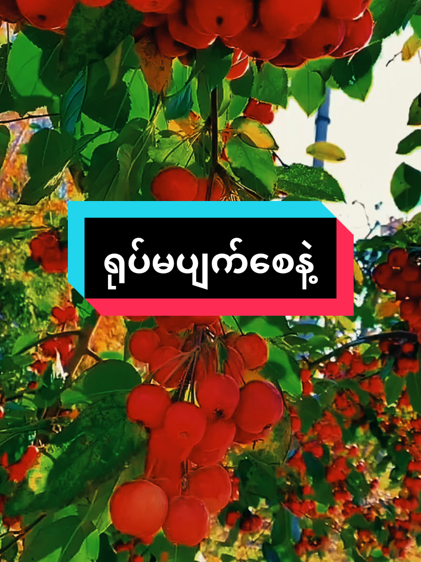 #ရုပ်မပျက်စေနဲ့#အတွေးအခေါ်စာစုများ #မူရင်းအသံပိုင်ရှင်အားလေးစားစွာ credit ပေးပါတယ်#@naing oo.008#fyppppppppppppppppppppppp 