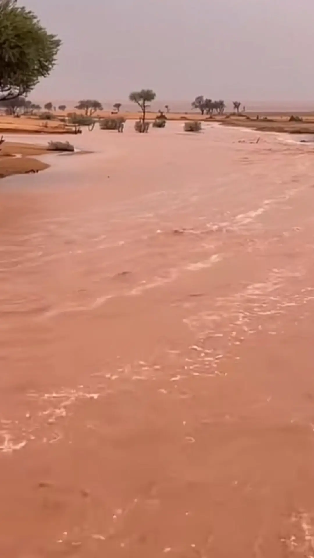 #اكسبلور #بدون_هشتاق #عتيبه 