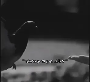 #اكسبلور #تيك_توك 