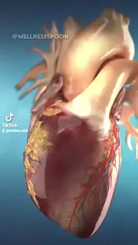 untuk maklumat lanjut 👇  01133700792 atau klik link di bio sy #wasap01133700792 #BEinternational #fypシ゚viral 