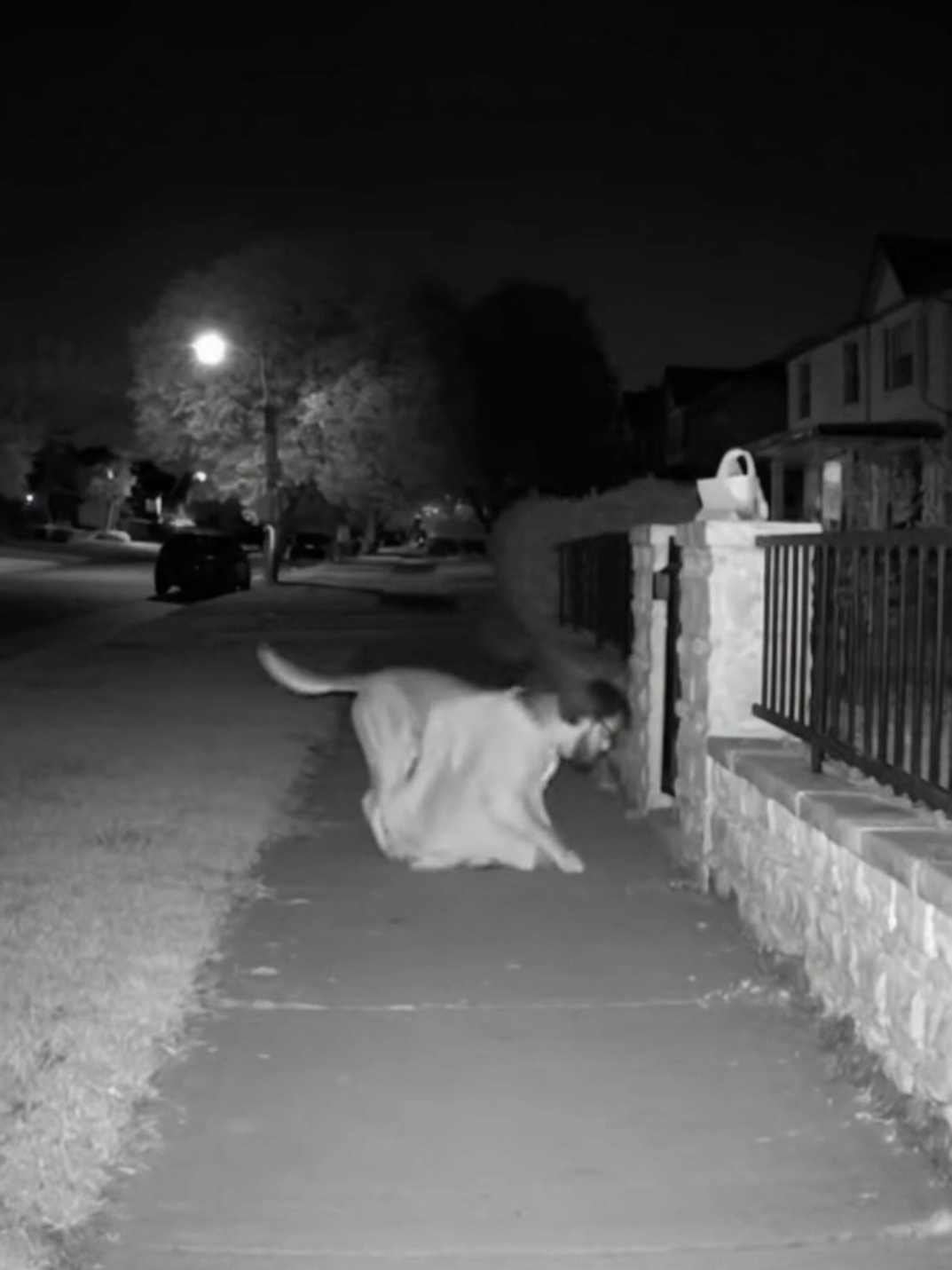 Como es posible ese suceso.. 😱#Terror #horror #miedo #paranormal 