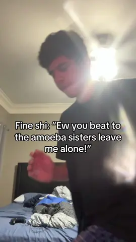 Recorded in silence #fyp #iwillgo #amoebasisters #goonking 