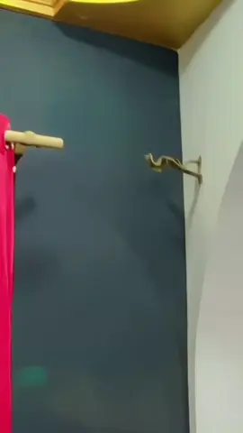 @🥀❤️🥰حميرا سعيد خان🥀❤️🥰 @❣️Kashif🦋 solangi  💫 