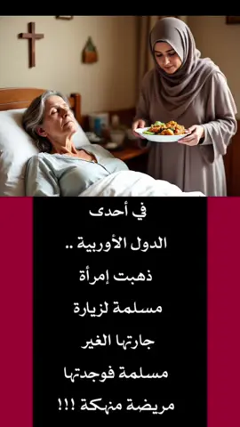 سماحة الإسلام ومعجزاته .. #creatorsearchinsights 