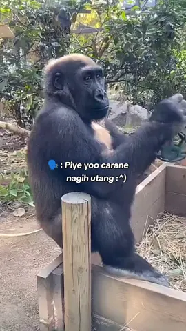 #fypp ngajak sopo yo😪#katakata #sindiran #utang #puitekchanel 