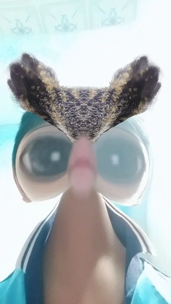 #nó cho kim cương FF