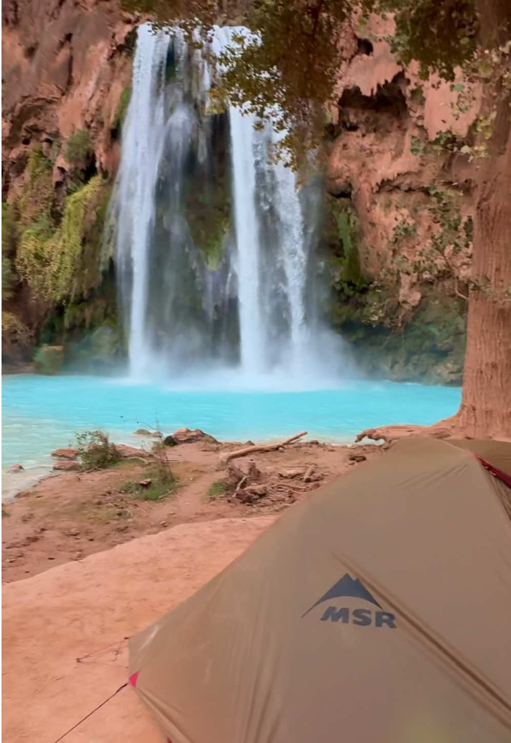 Tent camping at havasu falls #havasupai #havasupaifalls #supaivillage #fyp #arizona 