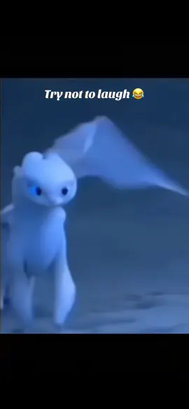 funny video#funny#video#foryou#tiktok#viral