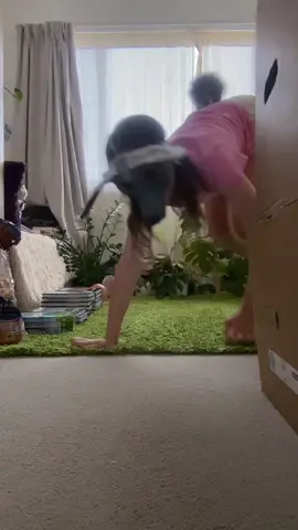 #therian #jump #quads 