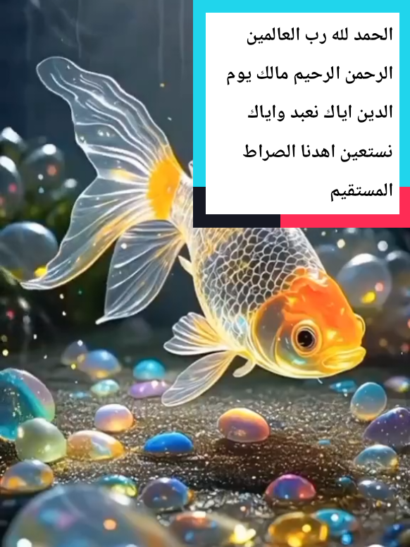 #مشاهير_تيك_توك #اكسبلور #لايك__explore___ #LIVEIncentiveProgram #LIVEFEST2025 