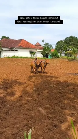 Perempuan Madura #bajaksawah #sogien  #ambuntensumenep #madura 
