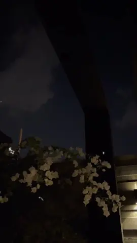 لایک و شیر کړې مننه🫠❤️‍🔥. . . . . .       #fypシ゚ #faryoupage #pashtotranslate #1millionaudition #pashtoshayari #pashtotranslation🇦🇫 #پشتون_تاجیک_هزاره_ازبک_زنده_باد🇦🇫زنده 