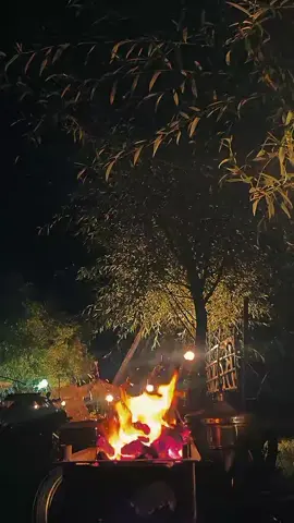 نومبر کے آخری عشرے میں ہم بیٹھ کر تنہا کسی ویران گوشے میں ہوا کو دکھ سنائیں گے تمہیں ہم بھول جائیں گے