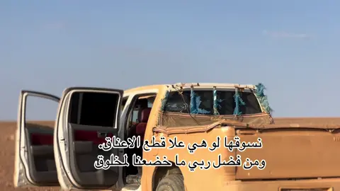 #﮼الرماديي🍃#اكسبلور #اضافه #لايك #الرويشد #المفرق 