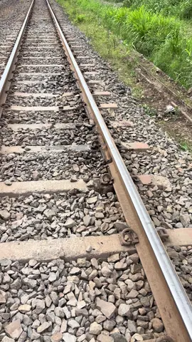 Sisa- sisa daging. Mual . Liat gini aja apa lagi petugas yg mungutin daging2 nya