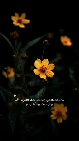 Sự kiên định trong cách đối nhân xử thế! #muonkiepnhansinh #ynghiacuocsong #baihoccuocsong 