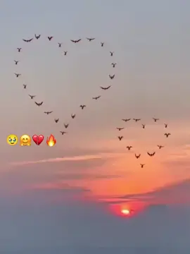 یہ حق تو میں نے خود کو بھی نہیں دیا💔😭#foryoupage #growmyaccount #newaccountneedyoursuport #standwithkashmir #nr_writes 