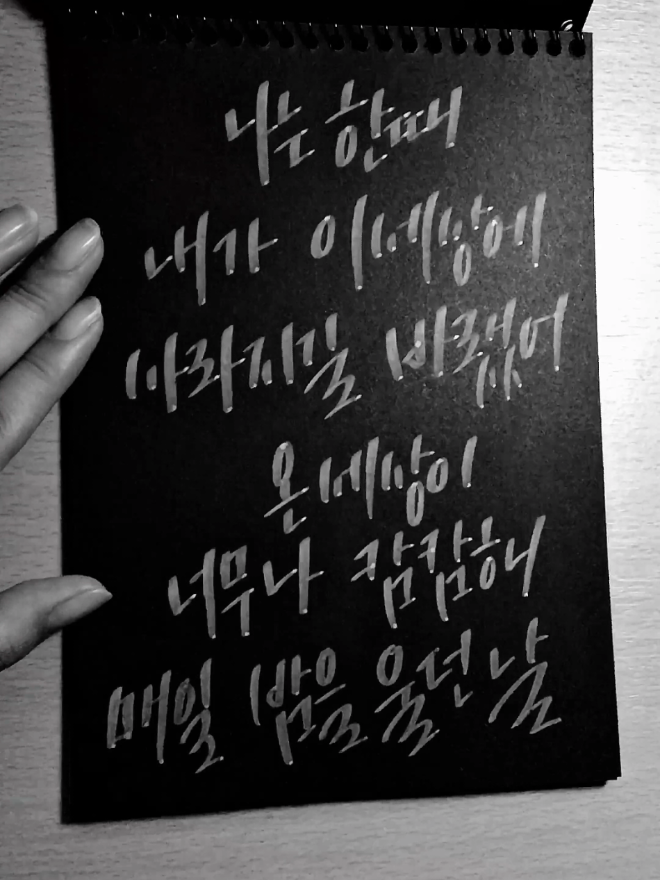 #나의사춘기에게 #볼빨간사춘기  업그레이드 버전✍️ #LIVEFest2025 #캘리쓰는롱 #calligraphy 