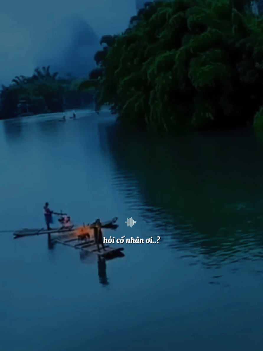 Đêm trắng sao buồn hỏi cố nhân ơi... #nguoitrauuphien  #nhachaymoingay  #nhactamtrang #xh #tramnhaco 