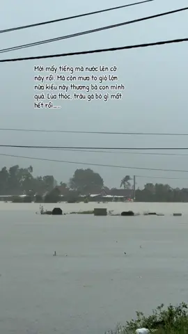 Kh ai lường trước được. Nên kh có sự chuẩn bị. Nước lên nhanh quá trở tay kh kịp. Thương bà con mình quá Cảnh Phước ơi #lulut #donghoa #phuyen78 