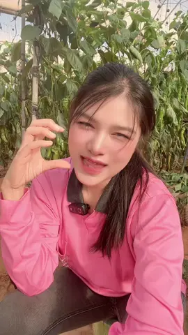 หัวใจฮ้างๆไผสิเอา#คนไทยในอิสระเอล🇹🇭🇮🇱 #อุบลหวานมากกกก❤️‍🔥🤫 