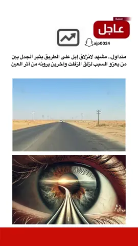 انزلاق إبل على الطريق يثير الجدل بين من يعزو السبب لزلق الزفلت وآخرين يرونه من أثر العين #منصة_عاجل #العين #الحسد #trending 