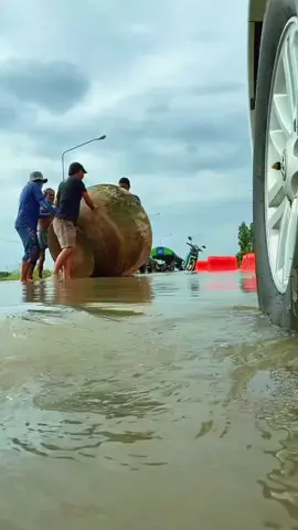 มาช่วยกันย้ายพี่โอ่งกันหน่อย เฮฮากันช่วงน้ำท่วม #creatorsearchinsights #ไทยช่วยไทย #น้ำท่วม #คลิปฮา 