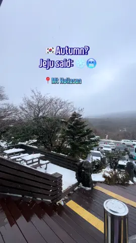 Datang nak tengok daun luruh 🍁,  Dapat salji terus!  Jeju….ok flex-lah 💃 #koreatrip #jeju #snowfall #fatimahrealty #recharge 