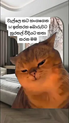 😂#Meme #MemeCut #CapCut #fyppppppp #funny 