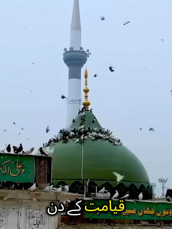 Data sahib formate hen Data drbar Lahore  #peerajmalraza  #datadrbar2026  #tiktok2026 #gunjbkhash  #creatorsearchinsights 