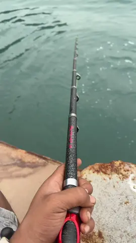 😩🤣#kaohsiung_taiwan🇹🇼 #fyp #fyppppppppppppppppppppppp 