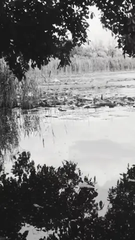 #zitat #emotionen #gedanken 