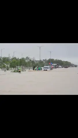 TIN TỨC NGÀY 19/11/2025 Nha Trang mênh mông biển nước vì lũ chồng lũ. Chưa kịp thoát khỏi trận ngập lụt kỷ lục, người dân Nha Trang (Khánh Hòa) lại đối mặt với đợt lũ thứ hai từ tối 18.11, trong khi nước sông Cái Nha Trang dự báo lên cao vượt báo động 3 vào trưa 19.11. #nhatrang  #nong 