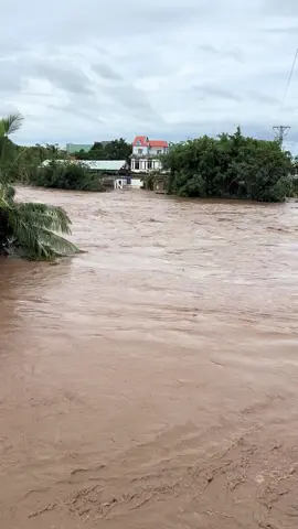 Phú thiện gia lai quê em, lần đầu tiên lụt cỡ này luôn , thương bà con….😭😭