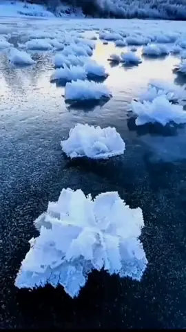 #рекомендации #таджикистан #видеотоп #хочимирзо #видеоиточики 