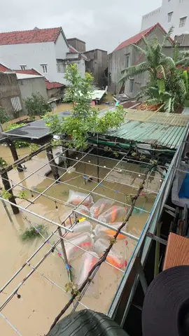 Ae miền trung ổn chứ. E thì