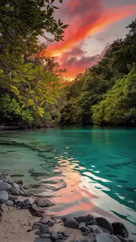 #نص_إلى_كلام الله#