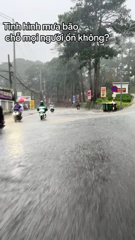 Con đường đến cty…  Trắng xóa màu nước mưa! Cầu cho bình an đến với mọi người! #dalatngaymua🌧  #dalathomnayconmua 