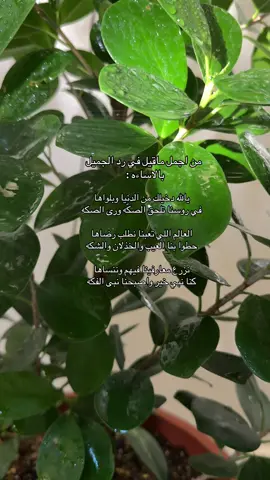 #foryoupage❤️❤️ #fyp #viraltiktok #foryou #foryoupage 