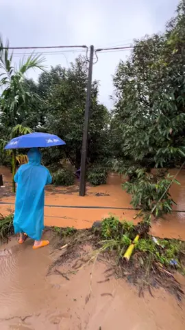 Còn gì nữa đâu 😓 #khánh sơn #khánh hoà