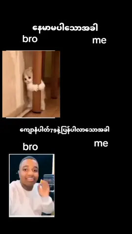 #နေမာဖန်ဆိုhiပေးခဲ့ကြပါအုံးဗျ😘🇧🇷🇧🇷🇧🇷🇧🇷🇧🇷 #fypシ゚ #@♣„N~N~Z„♣ 