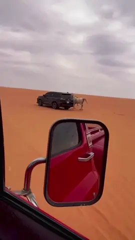 #تصويري_احترافي_الاجواء👌🏻🕊😴 #اكسبلور_تيك_توك 