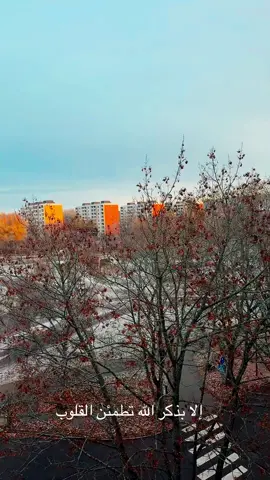 #الابذكر_الله_تطمئن_القلوب_أذكرو_الله #راحه_نفسيه #اللهم_صل_وسلم_وبارك_على_نبينا_محمد #القران_الكريم 