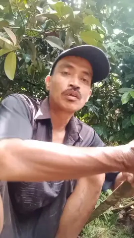 fypp ker nyieun bilik