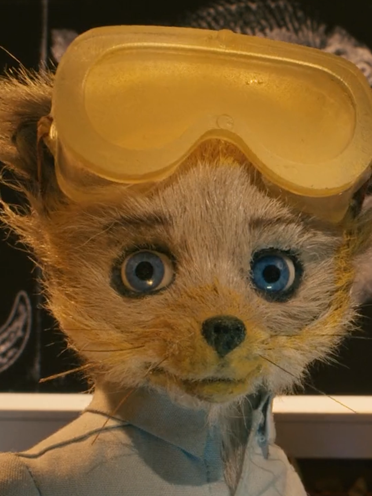 Oh, Agnes is learning chemistry, all right. 👀 Wes Anderson’s FANTASTIC MR. FOX (2009), featuring the voices of George Clooney, Meryl Streep, and Bill Murray, was nominated at the 82nd Academy Awards for Animated Feature Film and Original Score (Alexandre Desplat). #FantasticMrFox #WesAnderson #JasonSchwartzman #JumanMalouf #EricChaseAnderson #JeremyDawson #Oscars #Oscar #AcademyAwards #AcademyAward #StopMotion #Animation #Movies #Film