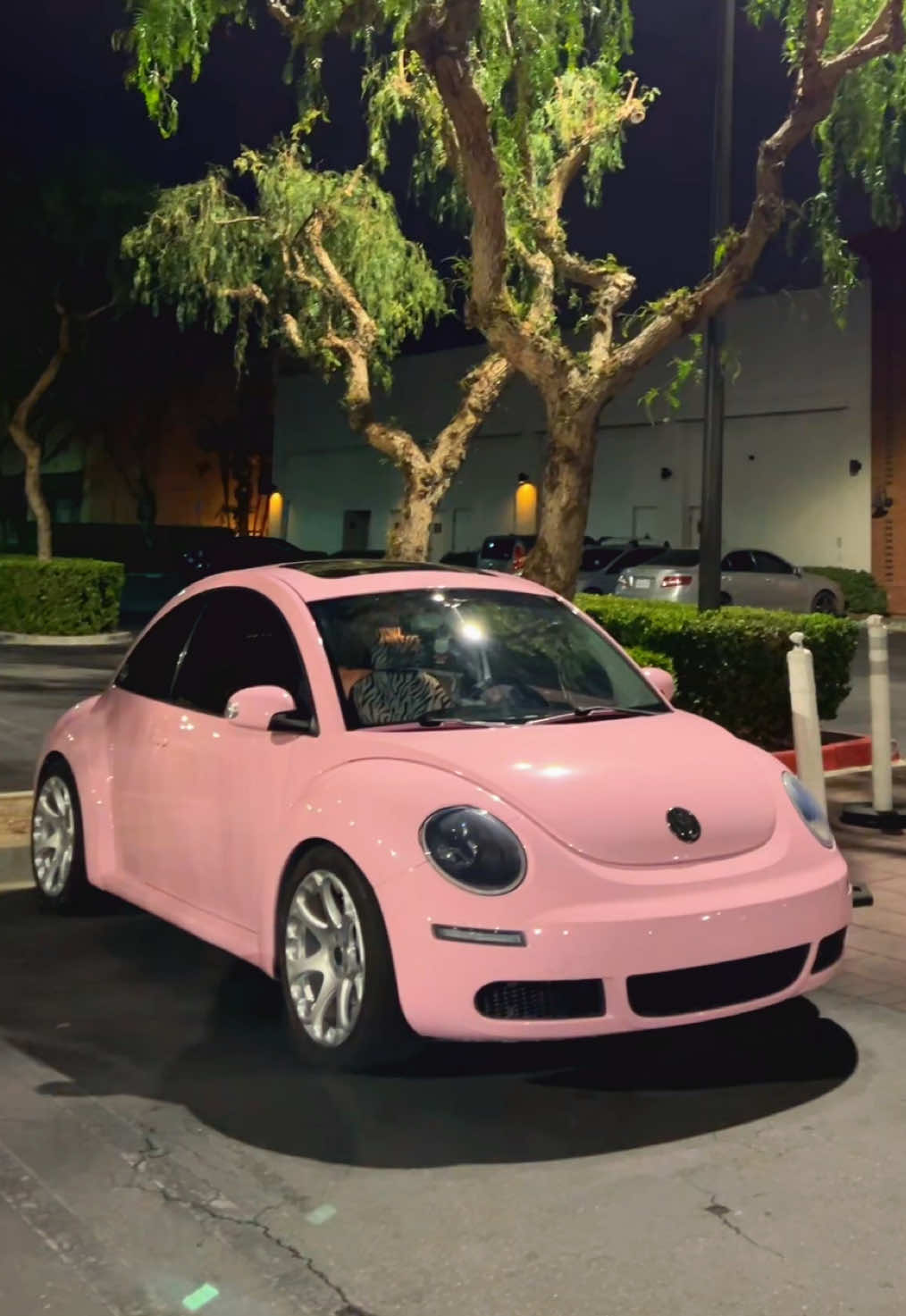 my monthly post ok bye 💕 #vwbeetle #vwbug #pinkvwbeetle #foryou #cars 