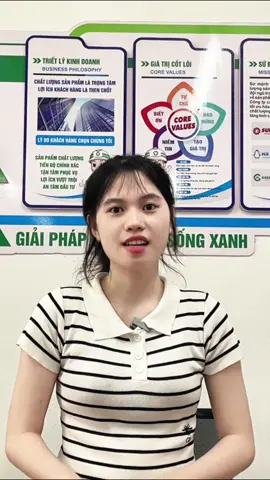 Cảm nhận của TTS thu mua khi thực tập tại Kỹ Nghệ Xanh  #tts #camnhan #kynghexanh #xuhuong 