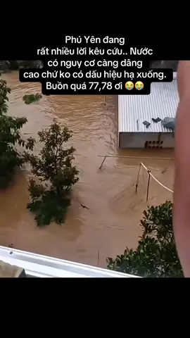 Nguồn : Copy #cuutromientrung #lulut #baomientrung #sos #cứu 