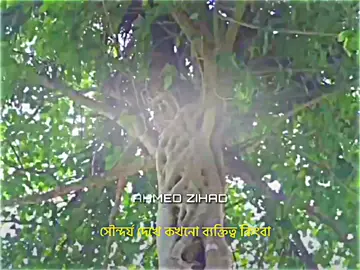 বাহিরে সুন্দর দেখা গেলেও ভিতরে নিষ্ঠুর ভয়াবহতা লুকানো থাকে সৌন্দর্যের আড়ালে নিষ্টুরতার রুপ ঠিক কিছু মানুষের। 😊❤️‍🩹#foryou #foryoupage #vairal #vairal_video #ahmed_zihad5 @TikTok @For You @TikTok Bangladesh 