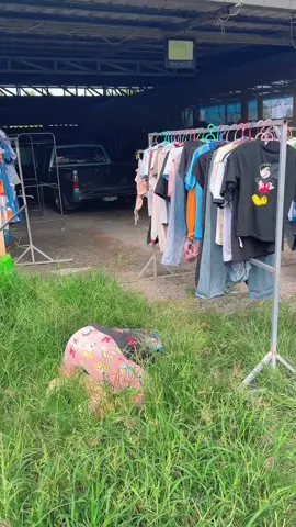 ตากผ้าเป็นลม😆#น้ํายาปรับผ้านุ่ม #น้ํายาปรับผ้านุ่มหอมติดทนนาน 